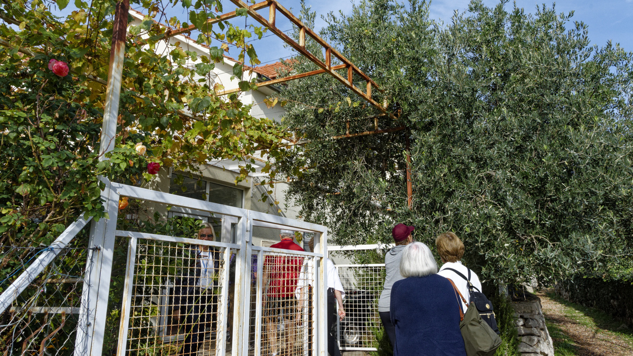 20221103 103352•Radovici•Coastalregion•Montenegro